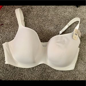 Lane Bryant bra